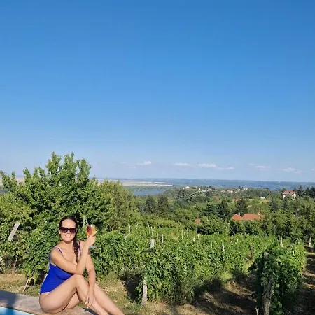 Vista * Zaklopaca (Belgrade)