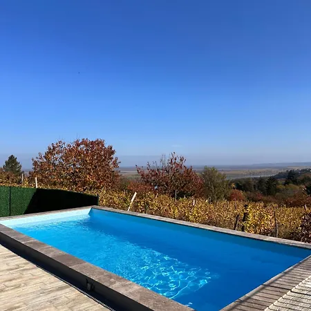 Vista * Zaklopaca (Belgrade)