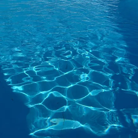 Vista * Zaklopaca (Belgrade)